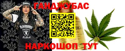 прущие грибы Будённовск