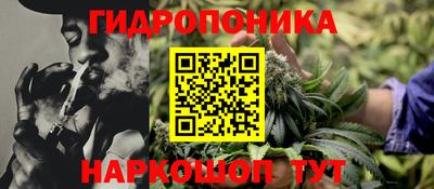 прущие грибы Будённовск