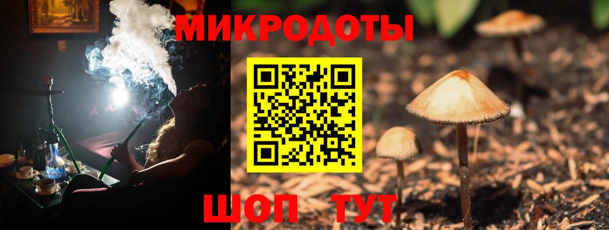 Псилоцибиновые грибы Psilocybe  Вход с VPN  наркошоп  Галлюциногенные грибы MAGIC MUSHROOMS  Лесной 